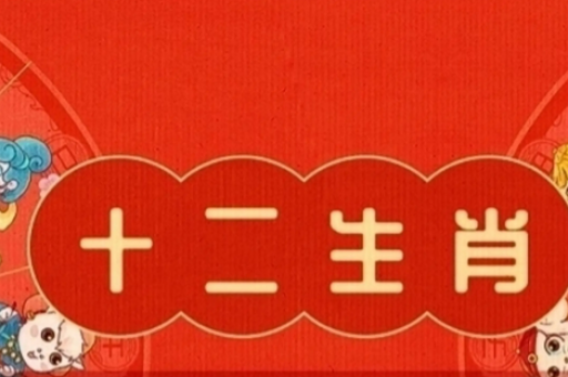 澳门六合2026开奖结果-第3张图片-澳门六合彩网址